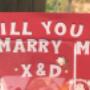 Secret proposal in Gibbston Valley, Queenstown