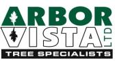 Arborvista