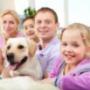 Pet for Family