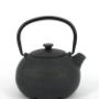 Cast Iron Teapot