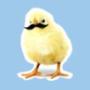 Chick Crew