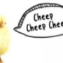 Find Cheep Deals