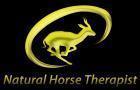 Natural Horse Therapist Ltd