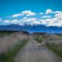 Trail Journeys