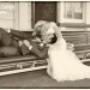 Wedding, love, kiss.....