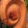 Timber Koru