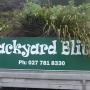 Backyardblitz