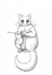 Considder Fur First Holdings Ltd
