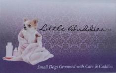 Little Buddies