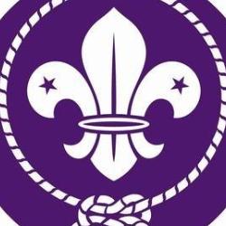 Paparangi Scouts