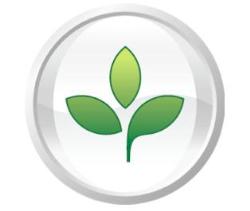 Futurist Online Marketing