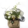 Uploaded by visitor on 03/11/2016 - Beach bunny product white flowers