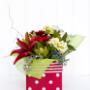 Uploaded by visitor on 03/11/2016 - Christmas flowers