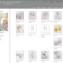 Kiri Schumaker Website