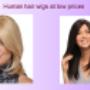 We sell quality Human Hair wigs
