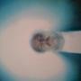 Aura Photo