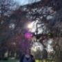 Uploaded by visitor on 27/07/2016 - A day in the Botanical Gardens Christchurch with Spirit