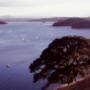 Mahurangi Harbour