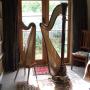 Studio Concert pedal and lever harps