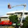 Nelson Tree Care Service