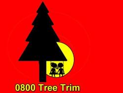 0800 Tree Trim Ltd