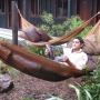 Enjoy our hammocks and hot pools