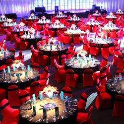 Auckland Event Photography