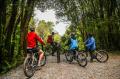 Fox Glacier Valley E-bike & Hike
