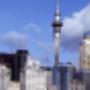 hajj organizer auckland