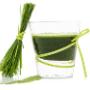 HealthPost