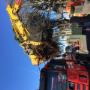 Tree stump removal