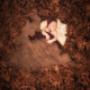 Newborn (H in Leaves)