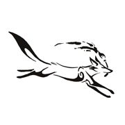 Quirky Fox