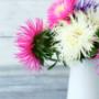 Breeze Housekeeping