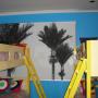 Printed Blinds