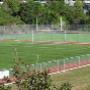 All Turf NZ Ltd Gallery