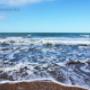 seo new zealand
