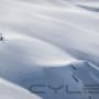 Uploaded by visitor on 27/07/2016 - helicopter alone in the mountains