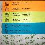 Printed Tyvek Wristbands