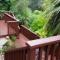 deck-and-fence-staining