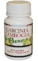 Pure Garcinia Cambogia