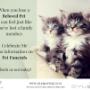 Uploaded by visitor on 22/06/2017 - Losing a Pet