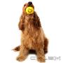 Uploaded by visitor on 02/10/2016 - Dog sitting Christchurch