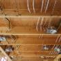 Auckland Electrician