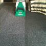 Eco carpet cleaning