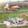 Vintage Scooter Adventures - picnic