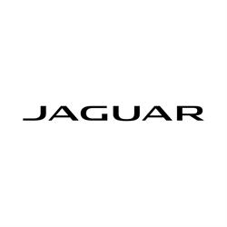Jaguar Archibald & Shorter Greenlane