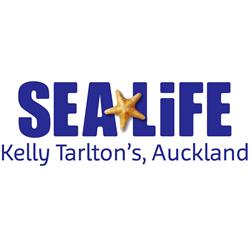 SEA LIFE Kelly Tarlton's Aquarium