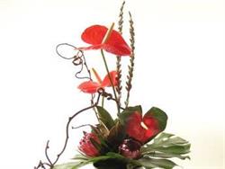 Flowers Auckland