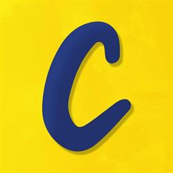 The Canvas Company